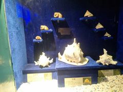 -大连圣亚海洋世界