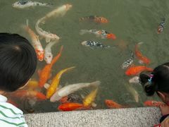 android_upload_pic-檀园