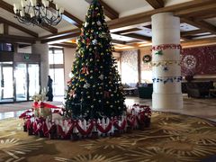 -长白山万达喜来登度假酒店