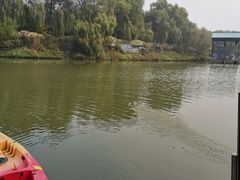 -东方巨龟苑景区