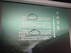 -龙泉青瓷博物馆