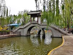 -团结湖公园