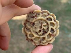 -大塘金香草谷