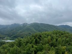 -宁波浙东大竹海景区
