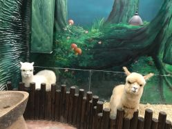 -宝燕乐园(闵行旗舰店)