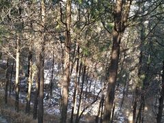 -阳台山自然风景区