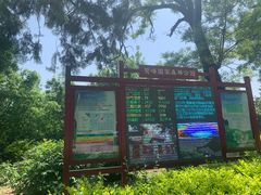 -北京鹫峰国家森林公园