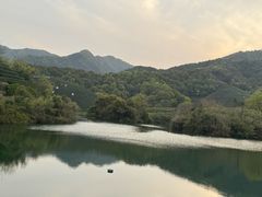 -龙坞茶村