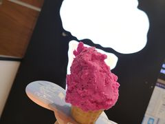 -野人先生现做冰淇淋(北京环宇荟店)