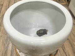 -蟹家大院 · 独揽江景(滨江店)