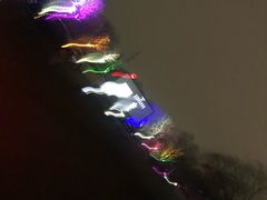 -枫花园汽车电影院(朝阳公园店)