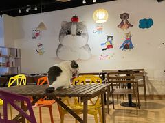 -Cappucimeow猫咪咖啡馆(韦伯时代店)