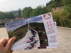 -原山国家森林公园