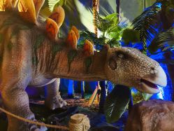 -恐龙探索乐园(磁器口店)