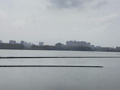 -李公堤