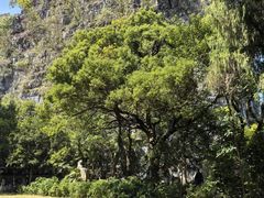 -桂林独秀峰王城景区