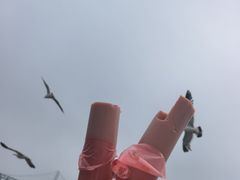 -星海广场