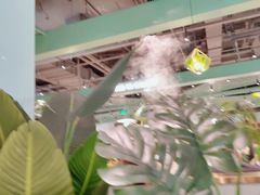 -春润大地海南椰子鸡(沙井京基百纳广场店)