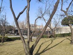 -大雁塔北广场音乐喷泉