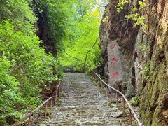 -天女山森林公园