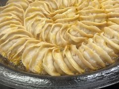 -金春锅贴(北京西路店)