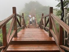 -大岭沟猕猴桃谷风景区