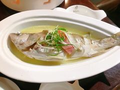 钱塘七星小白鲈-乾园.魏庐湖景餐厅(花港店)