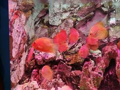 -多彩贵州城极地海洋世界