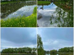 -白渔泡湿地公园