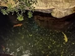 -上海浦东星河湾酒店
