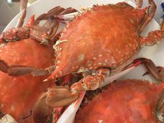 -小铜锣湾海鲜家常菜馆(河西店)
