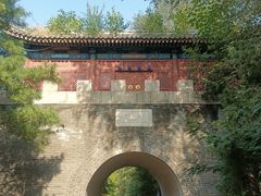 -云岗森林公园