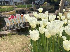 -杭州电子科技大学(下沙校区)