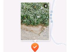 -野象谷景区