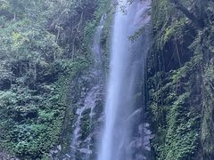 -莫里热带雨林景区