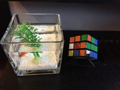 -扬州东关街文昌阁桔子水晶酒店