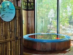 -春晖园度假酒店温泉