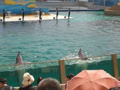 -秦皇岛乐岛海洋王国