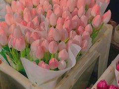 -枫花园汽车电影院(朝阳公园店)