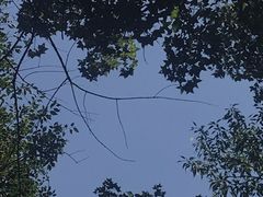 -国家植物园