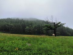 -驼梁风景区
