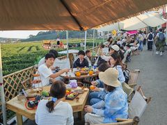 -龙坞茶村