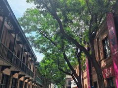-绿地·中山里