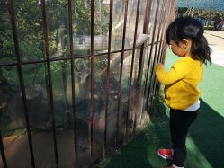 -萌宠亲子动物乐园(槐房万达店)