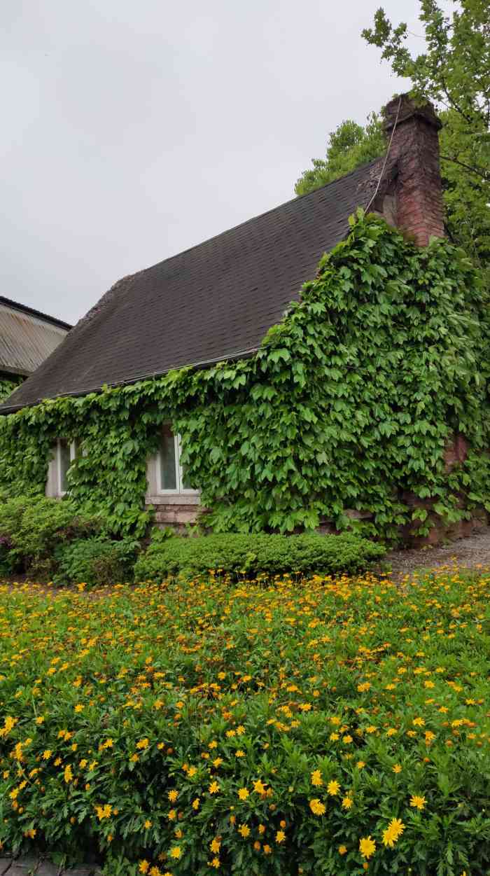 常青藤四季田园