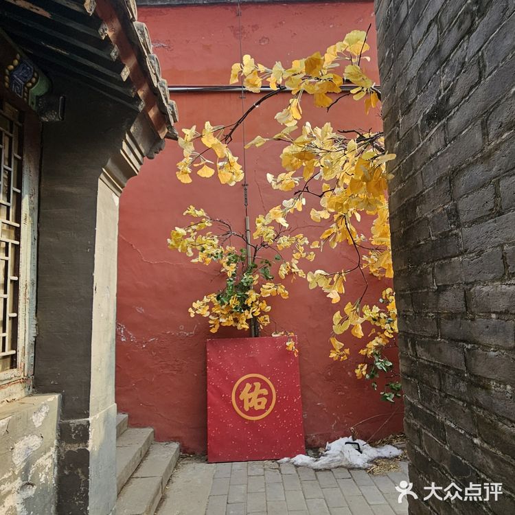 这么佛系的炸酱面，吃完浑身充满灵气儿，素斋界顶流！