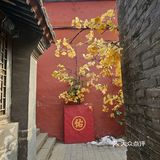 这么佛系的炸酱面，吃完浑身充满灵气儿，素斋界顶流！