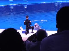 -华夏文旅海洋公园