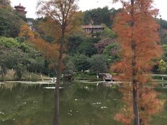 -神光山国家森林公园