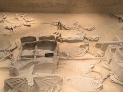 -洛阳周王城天子驾六博物馆